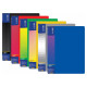 Дисплей-книга 10 файлов Economix А4 пластиковая цвет ассорти (E30601)