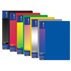 Дисплей-книга 20 файлов Economix А4 пластиковая цвет ассорти (E30602)